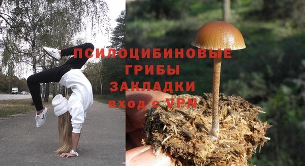 мескалин Верхний Тагил