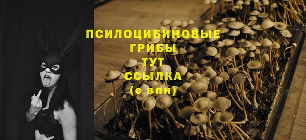 МДПВ Верея