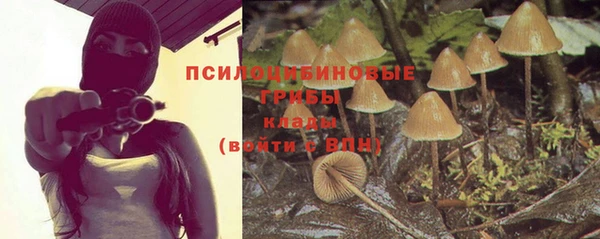 МДПВ Верея