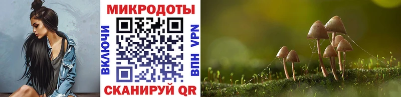 дарк нет формула  Сочи  Галлюциногенные грибы Magic Shrooms 